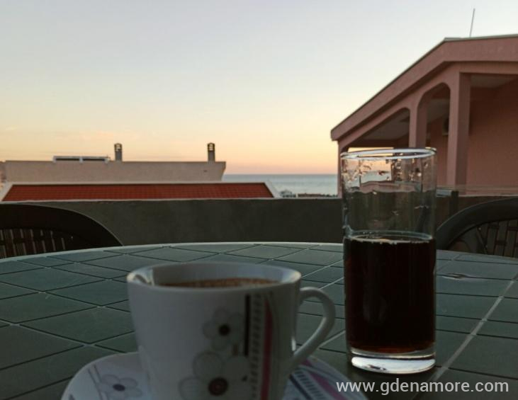 aviary-image-1623358052425