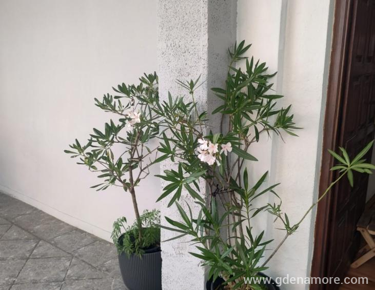 defef6ea-9c28-45da-88d7-ce588bd83fb8