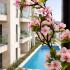 Appartamenti Olive, alloggi privati a Petrovac, Montenegro - 278e65c9-b09a-4b10-ab84-e7fa1e4610cd