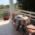Villa Seka Budva, alloggi privati a Budva, Montenegro - main