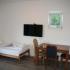 B&amp;i APARTMANI, Privatunterkunft im Ort Lastva Grbaljska, Montenegro - IMG_1063