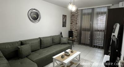 Sivas gardonjera, &epsilon;&nu;&omicron;&iota;&kappa;&iota;&alpha;&zeta;ό&mu;&epsilon;&nu;&alpha; &delta;&omega;&mu;ά&tau;&iota;&alpha; &sigma;&tau;&omicron; &mu;έ&rho;&omicron;&sigmaf; Bar, Montenegro