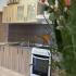 Apartman Tomanovic, Частный сектор жилья Тиват, Черногория - IMG_6016