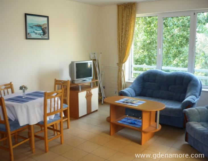 C2 One bedroom apartment