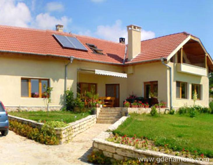 Лице на Вила &amp;#34;Бор&amp;#34;