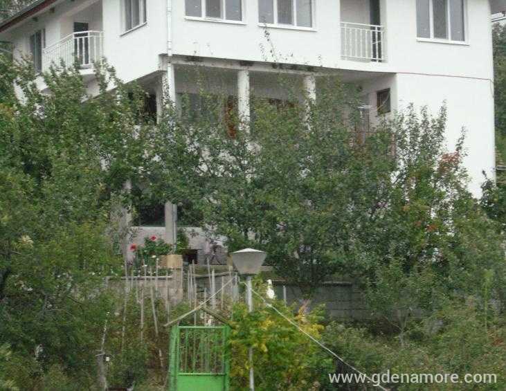 the house accomodation