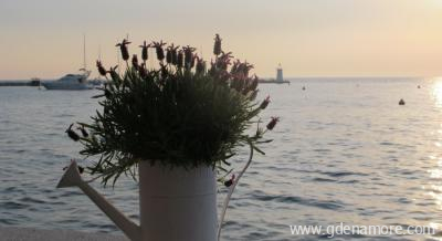 Rotonda, alloggi privati a Novigrad, Croazia