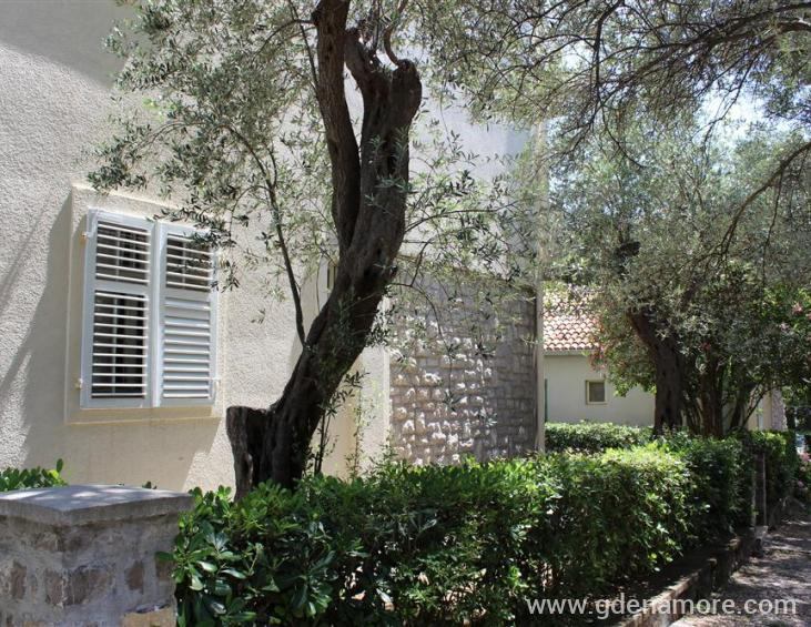 Kuca spreda, parking