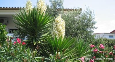 Appartements Dvorski, logement priv&eacute; &agrave; Pag, Croatie