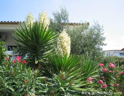 Apartmani Dvorski, privatni sme&scaron;taj u mestu Pag, Hrvatska - Apartmani Dvorski